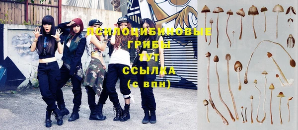 бошки Алзамай