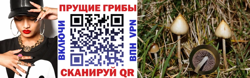 Псилоцибиновые грибы прущие грибы  что такое наркотик  Беслан 